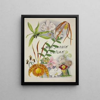 George De Alwis - Mon Jardin a Ceylan Pl003.webp