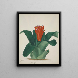 George De Alwis - Mon Jardin a Ceylan Pl025.webp