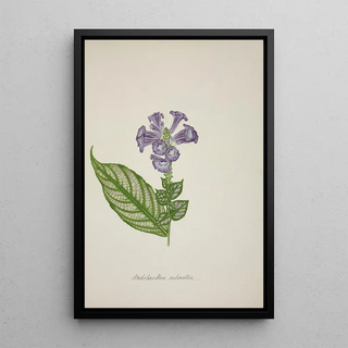 George De Alwis - Mon Jardin a Ceylan Pl029.webp