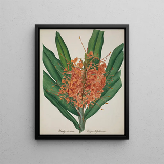 George De Alwis - Mon Jardin a Ceylan Pl037.webp