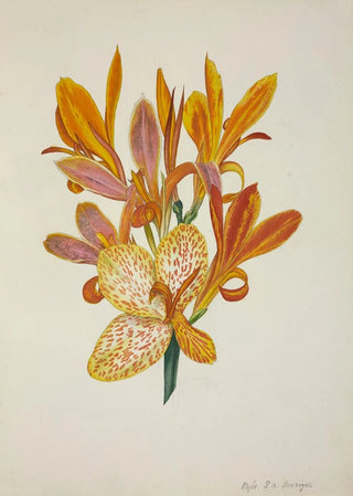 George De Alwis - Mon Jardin a Ceylan Pl050.webp