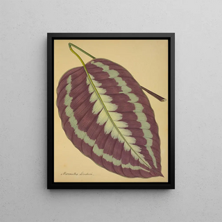 George De Alwis - Mon Jardin a Ceylan Pl089.webp