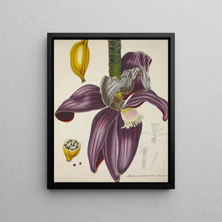 George De Alwis - Mon Jardin a Ceylan Pl111.webp