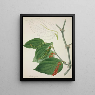 George De Alwis - Mon Jardin a Ceylan Pl116.webp