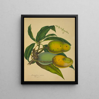 George De Alwis - Mon Jardin a Ceylan Pl126.webp