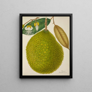 George De Alwis - Mon Jardin a Ceylan Pl127.webp