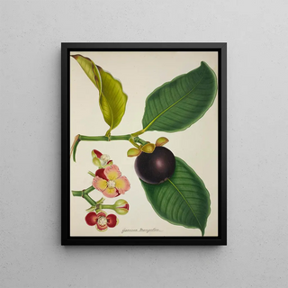 George De Alwis - Mon Jardin a Ceylan Pl130.webp