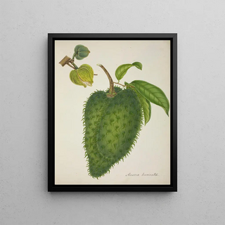 George De Alwis - Mon Jardin a Ceylan Pl133.webp