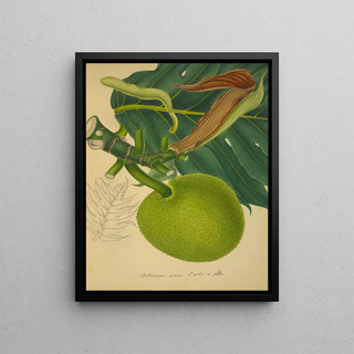 George De Alwis - Mon Jardin a Ceylan Pl152.webp