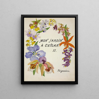George De Alwis - Mon Jardin a Ceylan Pl160.webp
