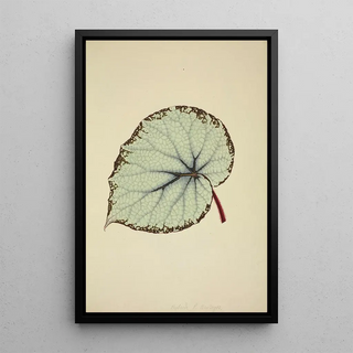 George De Alwis - Mon Jardin a Ceylan Pl195.webp