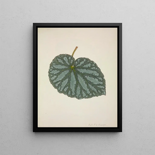 George De Alwis - Mon Jardin a Ceylan Pl200.webp