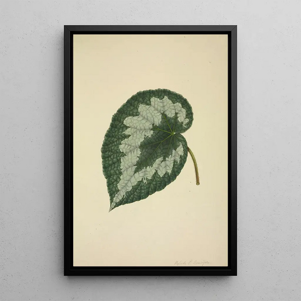 George De Alwis - Mon Jardin a Ceylan Pl203.webp