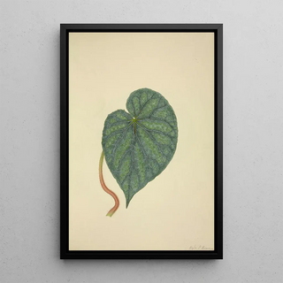 George De Alwis - Mon Jardin a Ceylan Pl204.webp