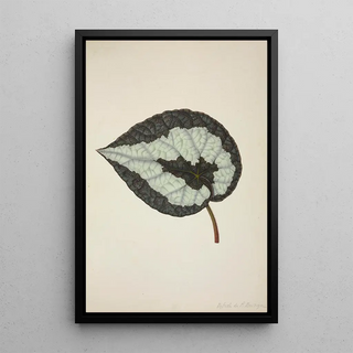 George De Alwis - Mon Jardin a Ceylan Pl205.webp