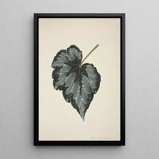 George De Alwis - Mon Jardin a Ceylan Pl215.webp