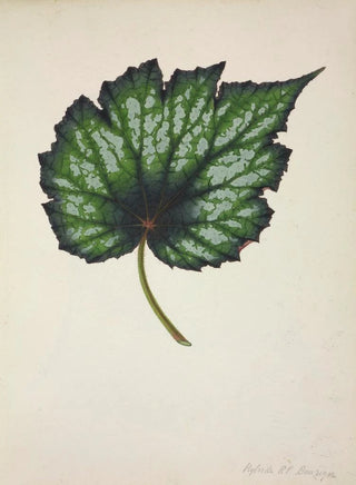 George De Alwis - Mon Jardin a Ceylan Pl216.webp
