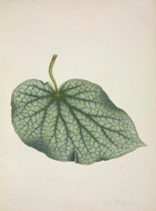 George De Alwis - Mon Jardin a Ceylan Pl220.webp