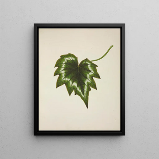 George De Alwis - Mon Jardin a Ceylan Pl226.webp