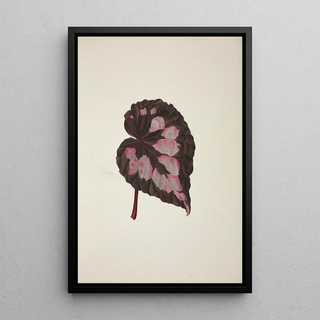 George De Alwis - Mon Jardin a Ceylan Pl249.webp