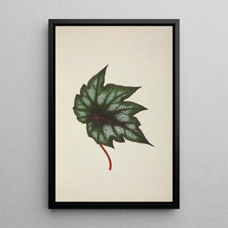 George De Alwis - Mon Jardin a Ceylan Pl251.webp