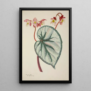 George De Alwis - Mon Jardin a Ceylan Pl252.webp