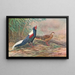 Kaleege de Swinhoe - George Edward Lodge — gerahmtes Bild an der Wand