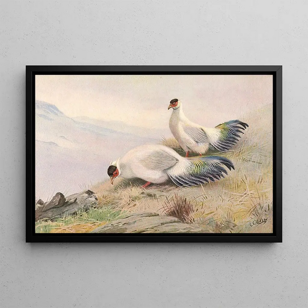 George Edward Lodge - White EaredPheasant.webp