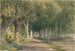 Allee der Bäume - George Henry Smillie — Ansicht des Kunstwerks