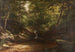 Cascade dans la forêt - George Hetzel — Ansicht des Kunstwerks