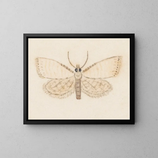 Aquarell der Entomologie Pl036 - George Hudson — gerahmtes Bild an der Wand