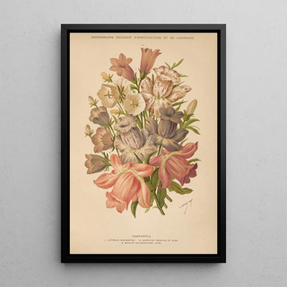 George Nicholson - Dictionnaire pratique dhorticulture Pl09.webp