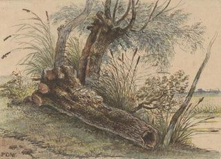 George Pieter Westenberg - Boomstronk in het riet.webp