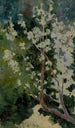 Capri - George Randolph Barse — Ansicht des Kunstwerks