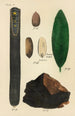Ein Handbuch der pflanzlichen Medizin Pl23 - George Sampson Valentine Wills — Ansicht des Kunstwerks