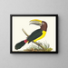 Toucan grün - George Shaw — gerahmtes Bild an der Wand