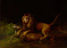 Ein Löwe, der einen Hirsch angreift - George Stubbs — Ansicht des Kunstwerks