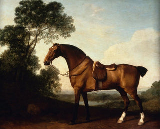 George Stubbs - A Saddled Bay Hunter.webp
