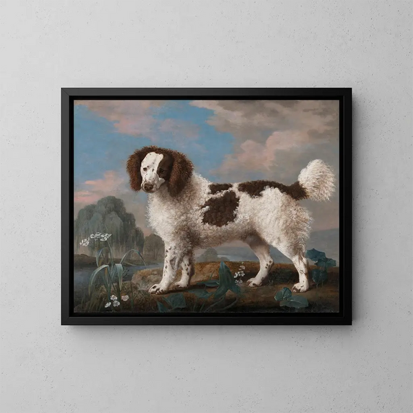 Spaniel Norfolk braun und weiß - George Stubbs — gerahmtes Bild an der Wand