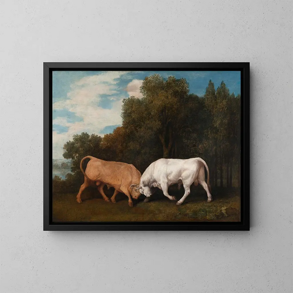 Kampf der Stiere - George Stubbs — gerahmtes Bild an der Wand