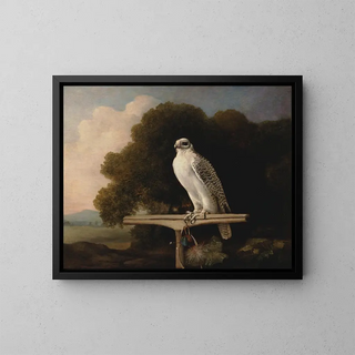 George Stubbs - Greenland Falcon.webp