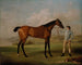 Molly Longlegs avec son jockey - George Stubbs — Ansicht des Kunstwerks