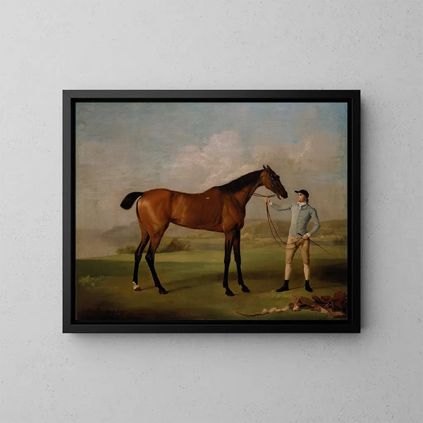 Molly Longlegs avec son jockey - George Stubbs — gerahmtes Bild an der Wand