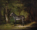 Zèbre - George Stubbs — Ansicht des Kunstwerks