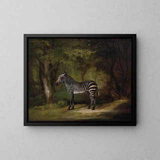 George Stubbs - Zebra.webp