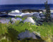 Rivage couvert de vignes, île Monhegan - George Wesley Bellows — Ansicht des Kunstwerks