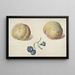 Zwei Pfirsiche und eine Blume - Georgius Jacobus Johannes van Os — gerahmtes Bild an der Wand
