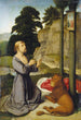 Saint Jérôme dans le désert - Gerard David — Ansicht des Kunstwerks