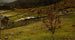 Landschaft des Herbstes ylo - Gerhard Munthe — Ansicht des Kunstwerks