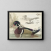 Ente von Caroline - Gerrit van den Heuvel — gerahmtes Bild an der Wand